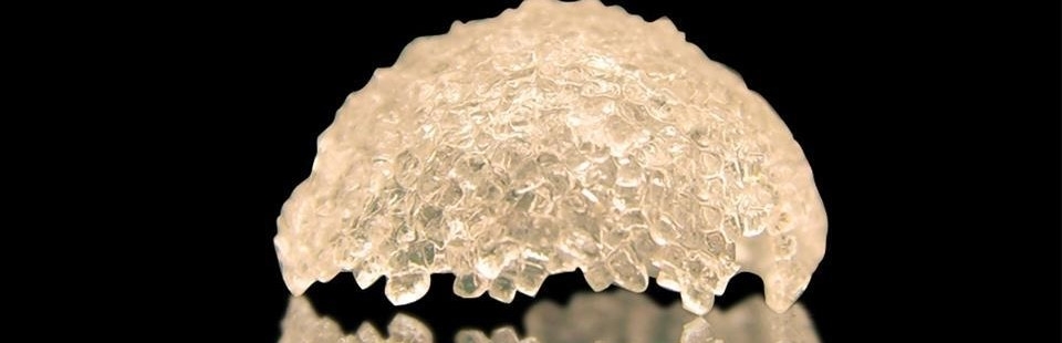 395499_10150534566843406_1057666752_n